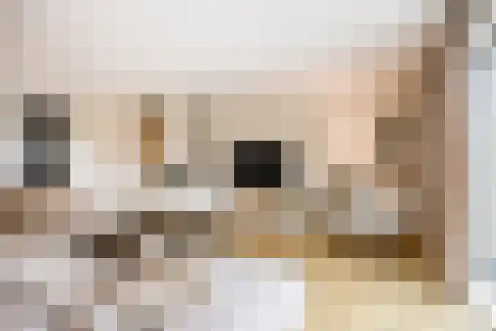 Oleanderlaan 63 Badhoevedorp thumbnail 6