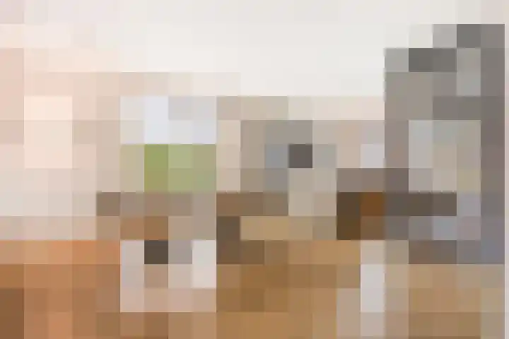 Oleanderlaan 63 Badhoevedorp thumbnail 7