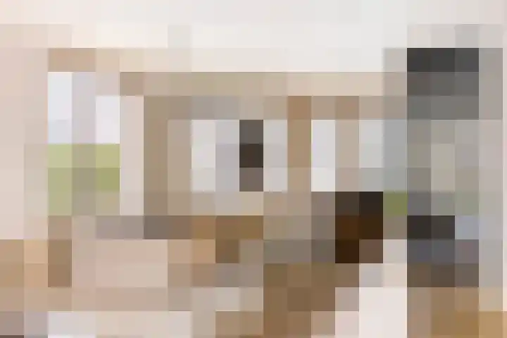 Oleanderlaan 63 Badhoevedorp thumbnail 9