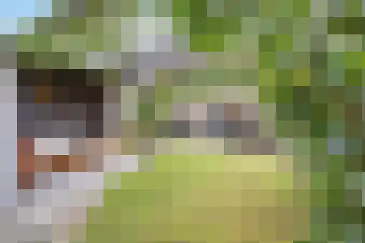 Oleanderlaan 66 Badhoevedorp thumbnail 7