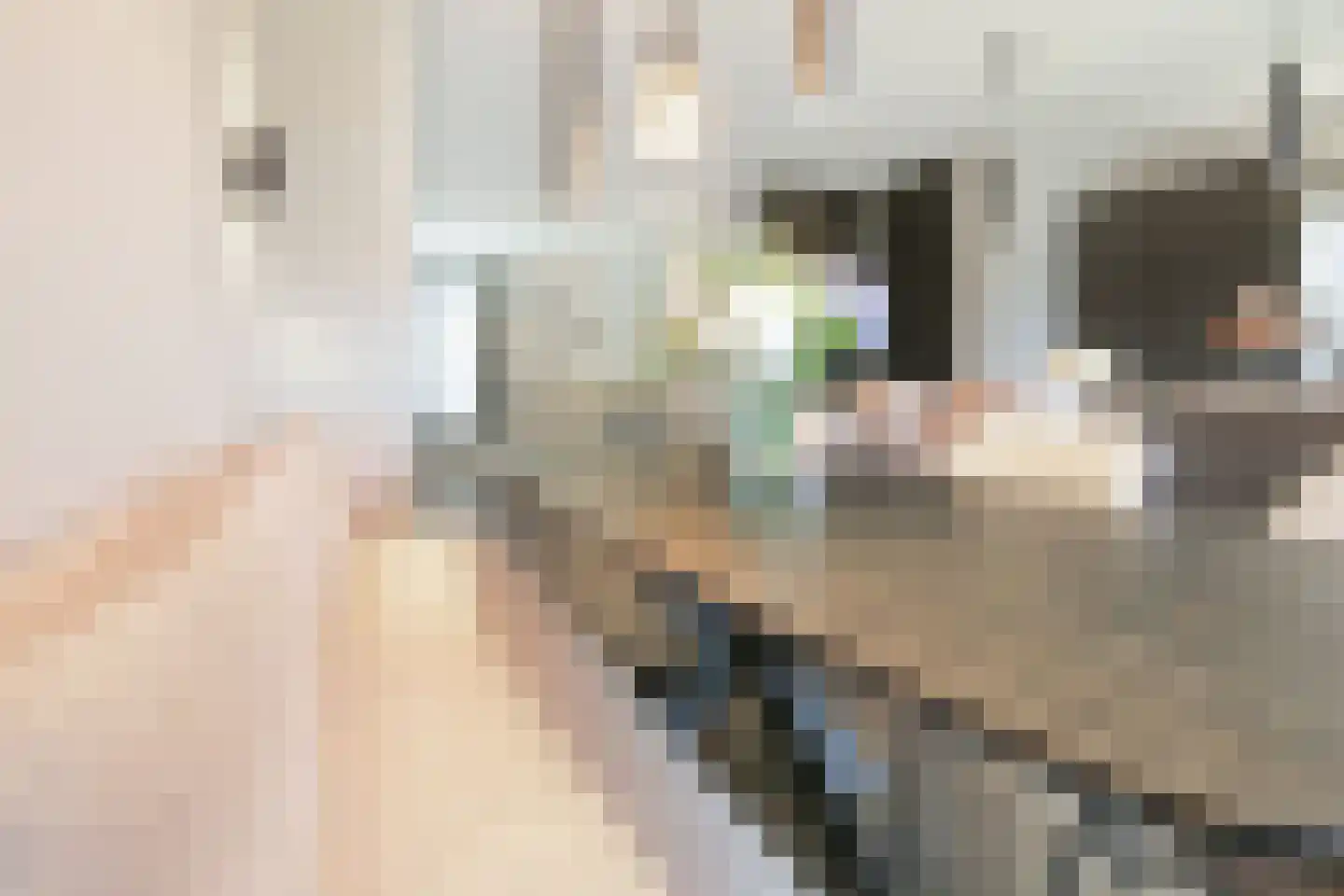 Oleanderlaan 87 Badhoevedorp thumbnail 32