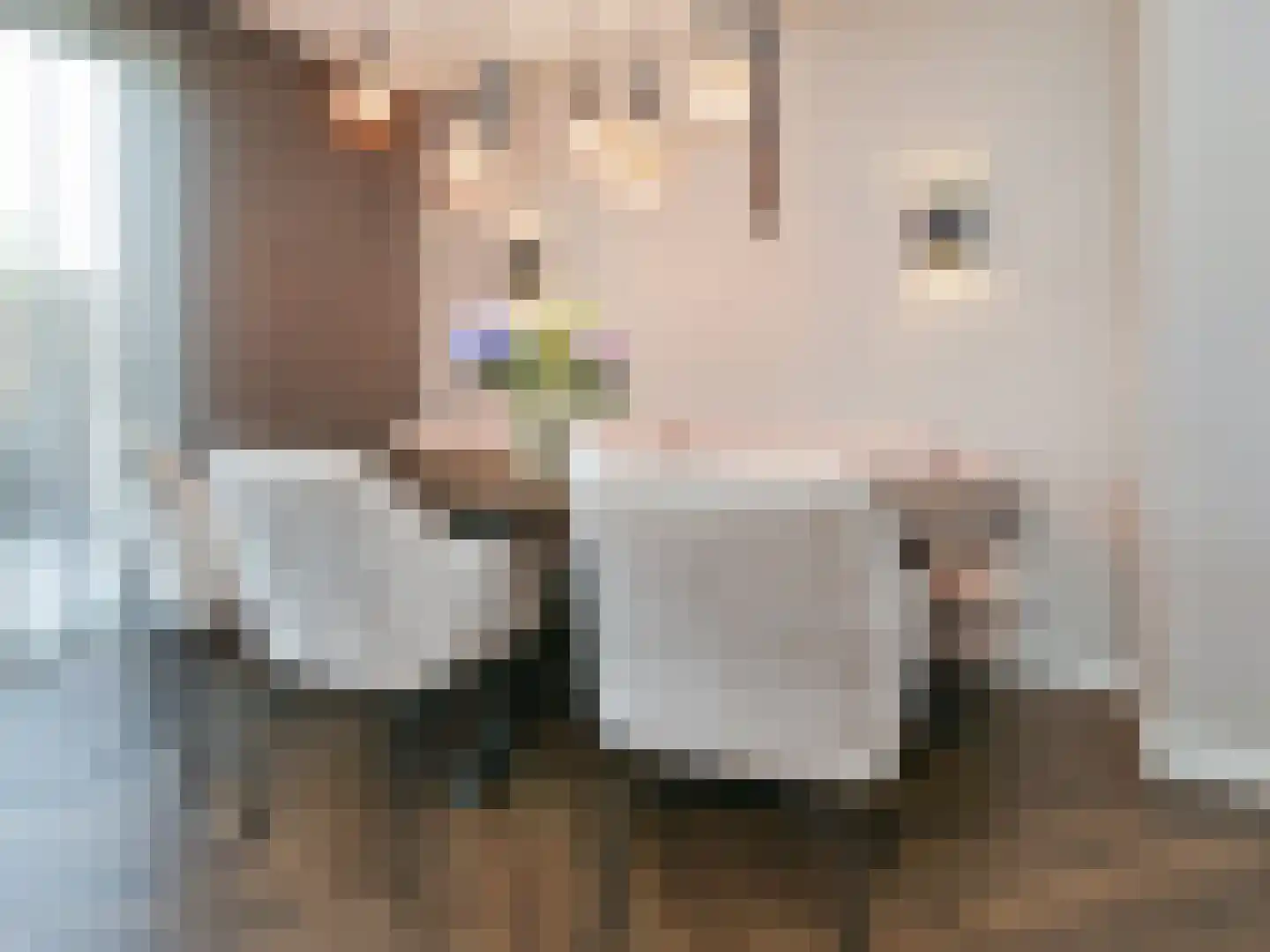 Oleanderlaan 87 Badhoevedorp thumbnail 33