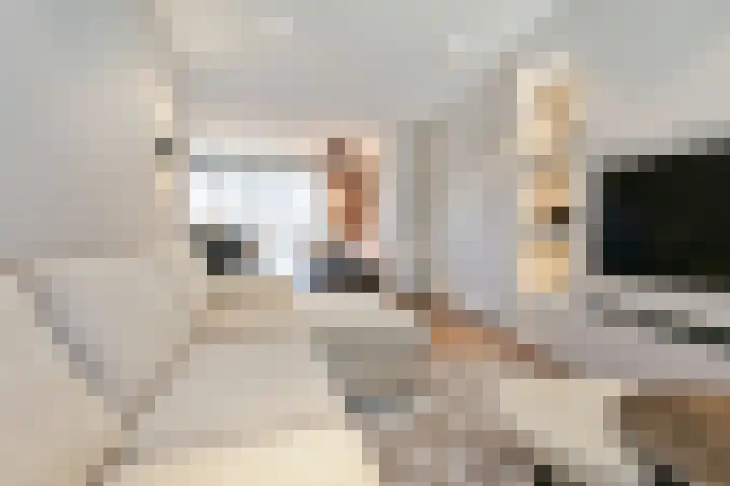Oleanderlaan 87 Badhoevedorp thumbnail 5