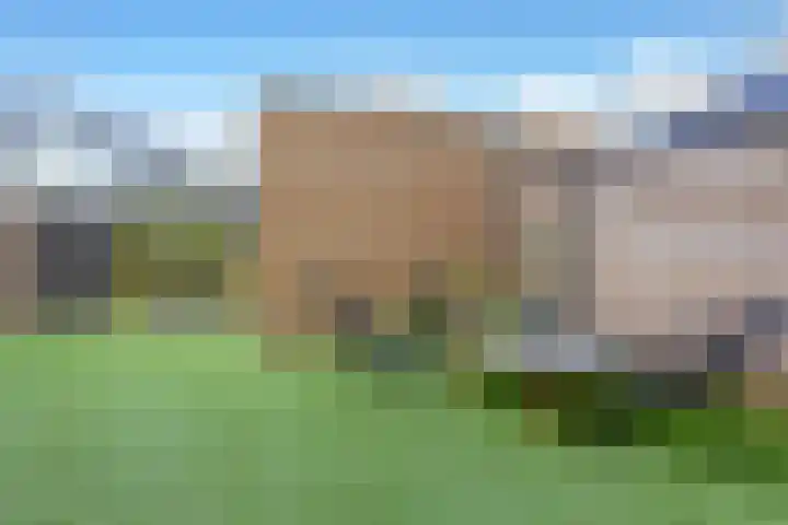 Oleanderlaan 94 Badhoevedorp thumbnail 12