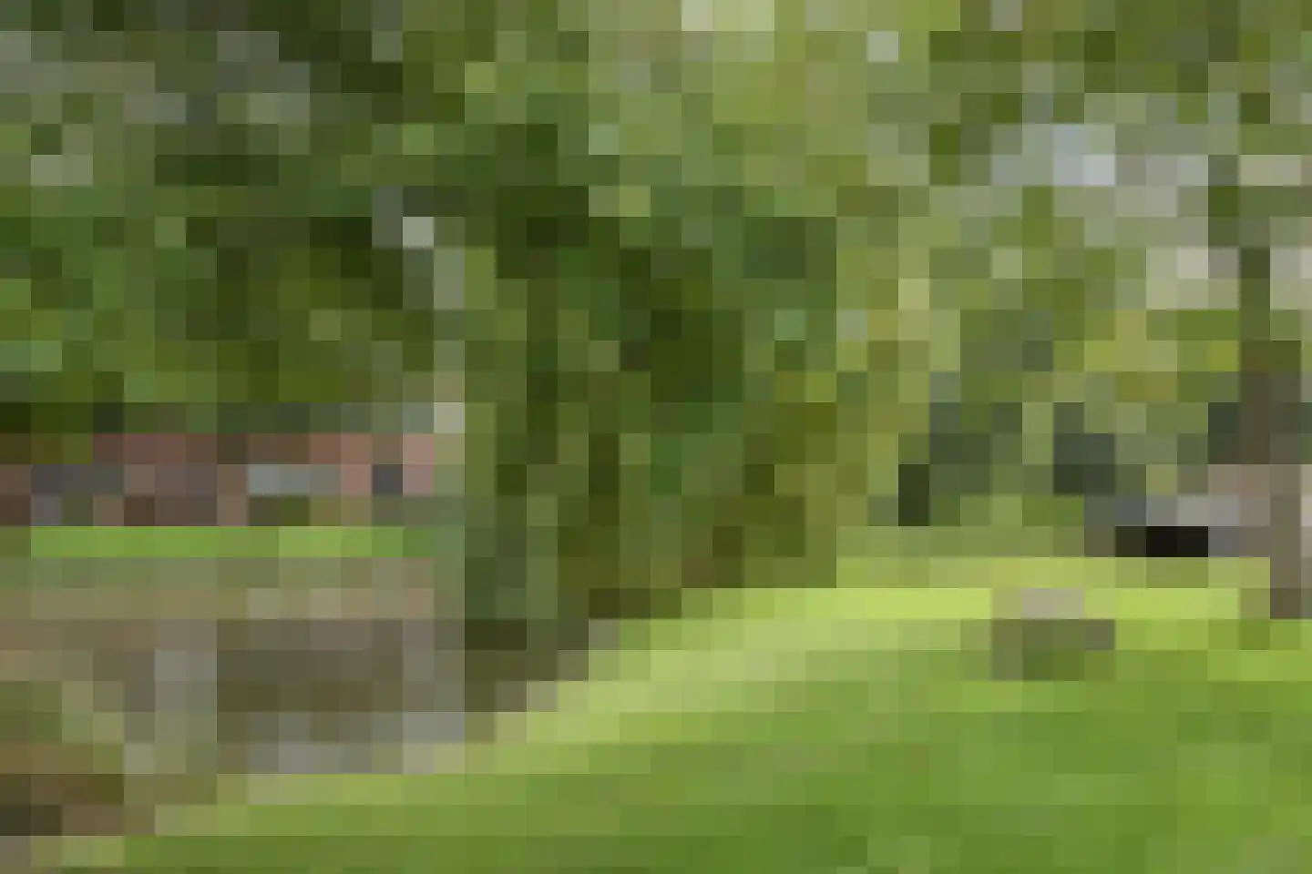 Oleanderpark 164 Maassluis thumbnail 27