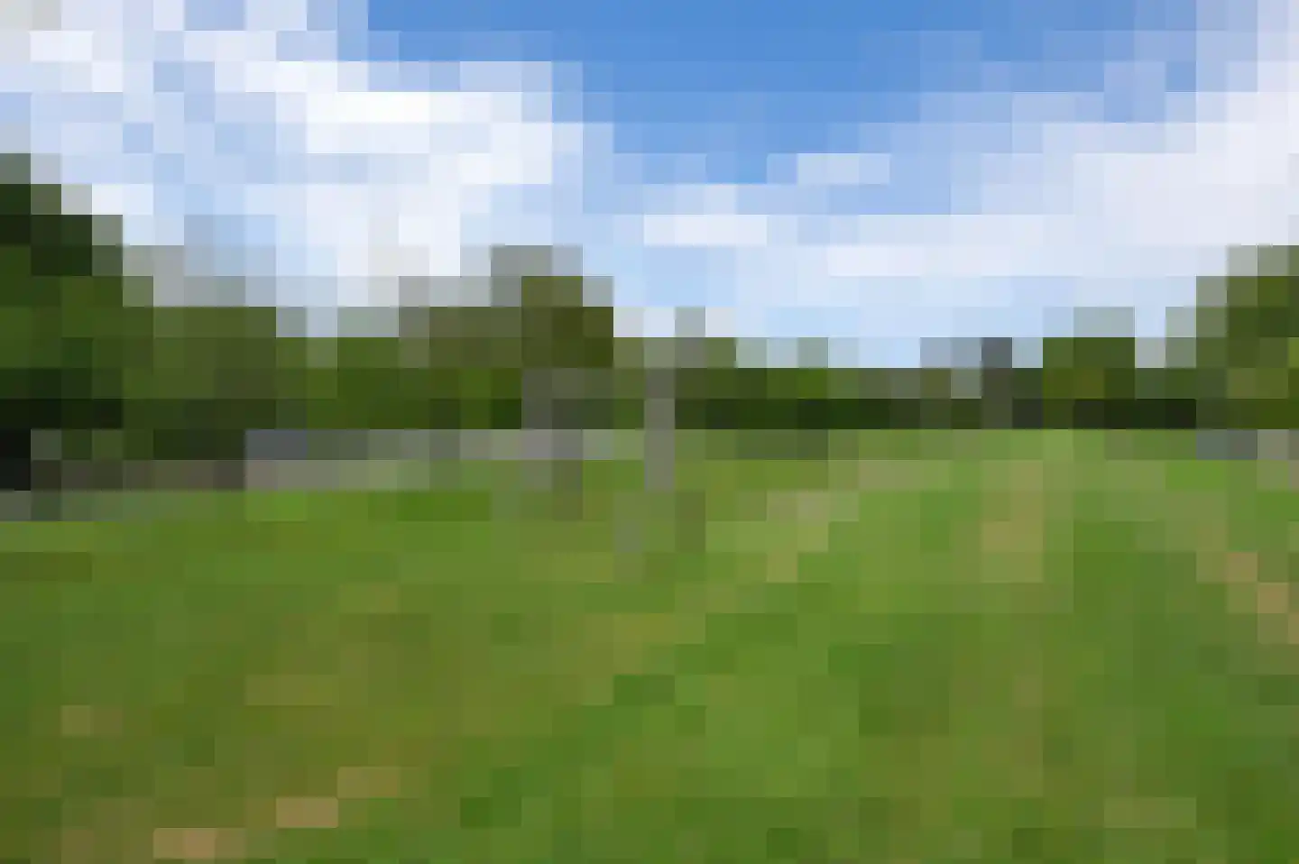 Oleanderpark 8 Maassluis thumbnail 29