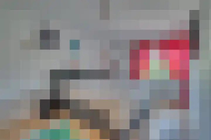 Oleanderstraat 113 Venlo thumbnail 9
