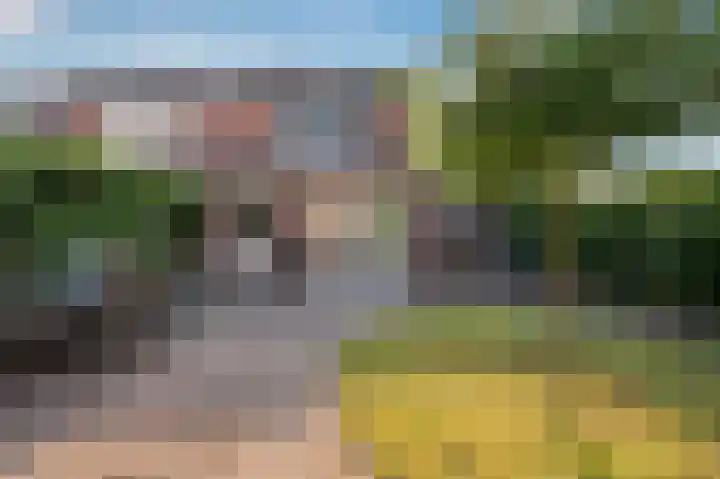 Oleanderstraat 127 Venlo thumbnail 50