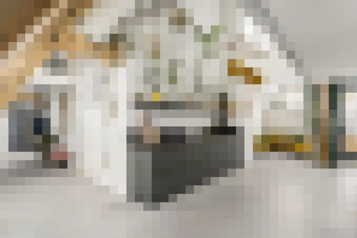 Oleanderstraat 135 Rotterdam thumbnail 12