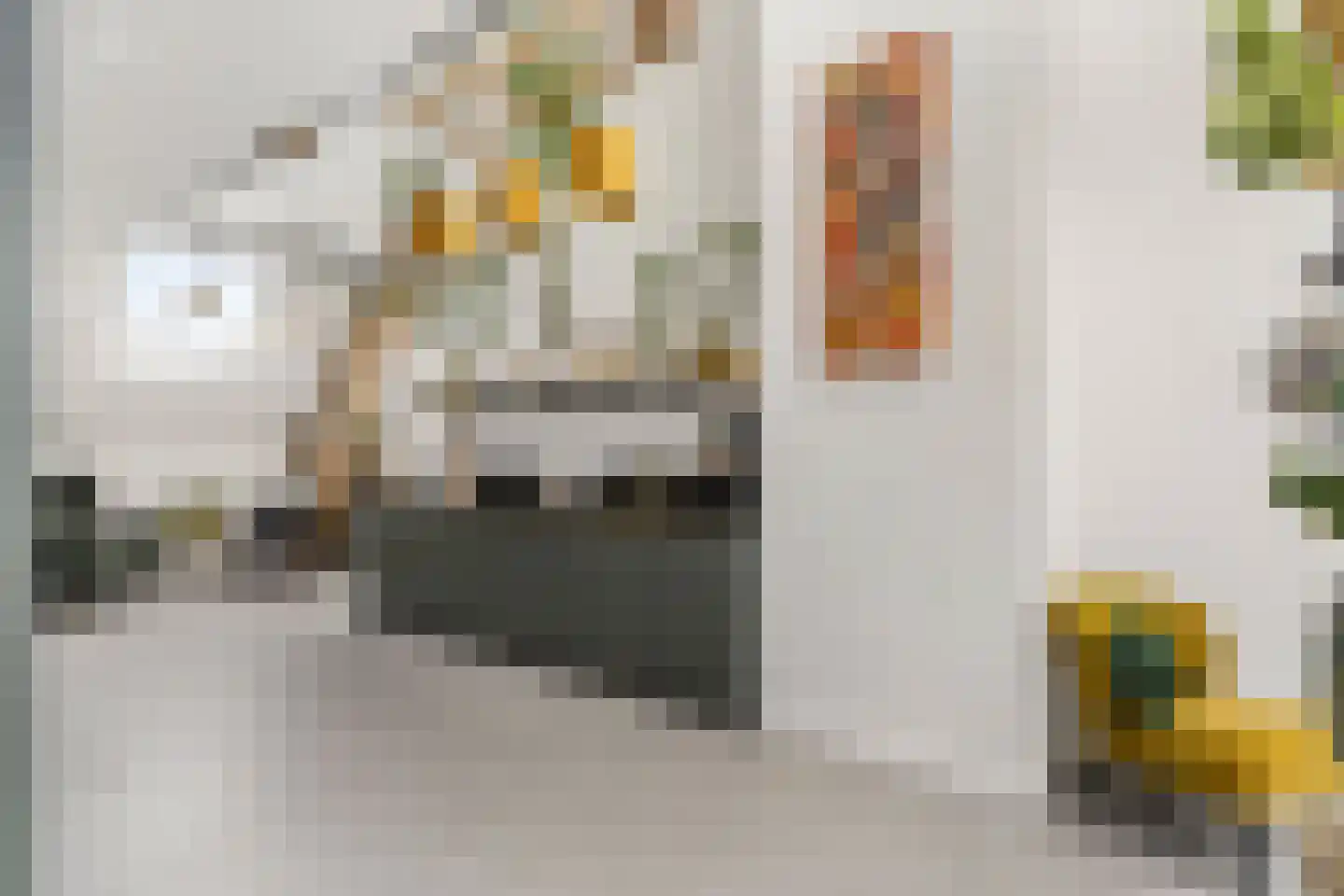 Oleanderstraat 135 Rotterdam thumbnail 15