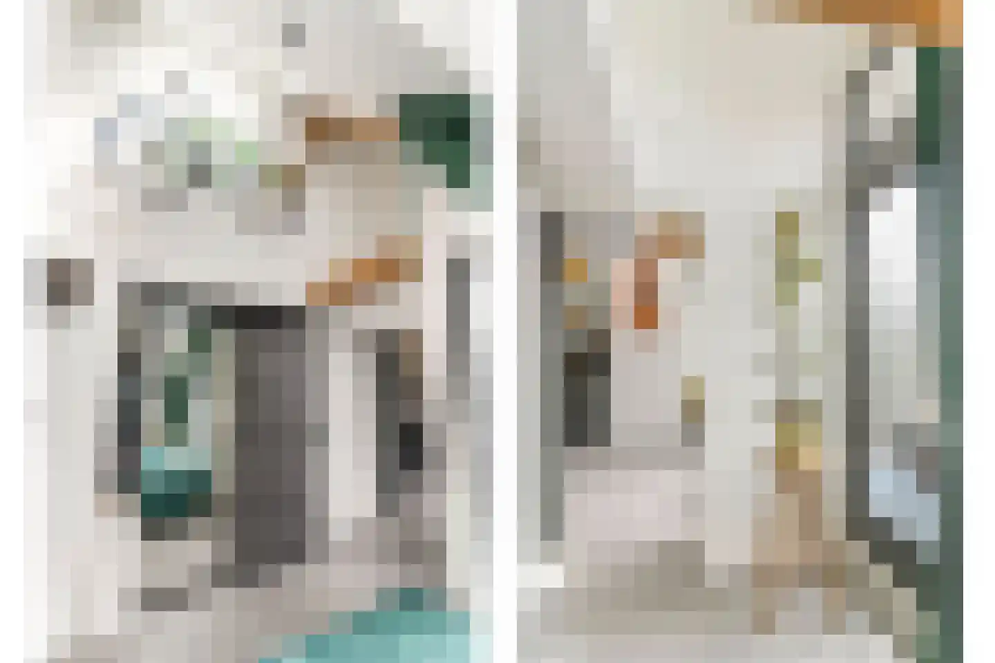 Oleanderstraat 135 Rotterdam thumbnail 21