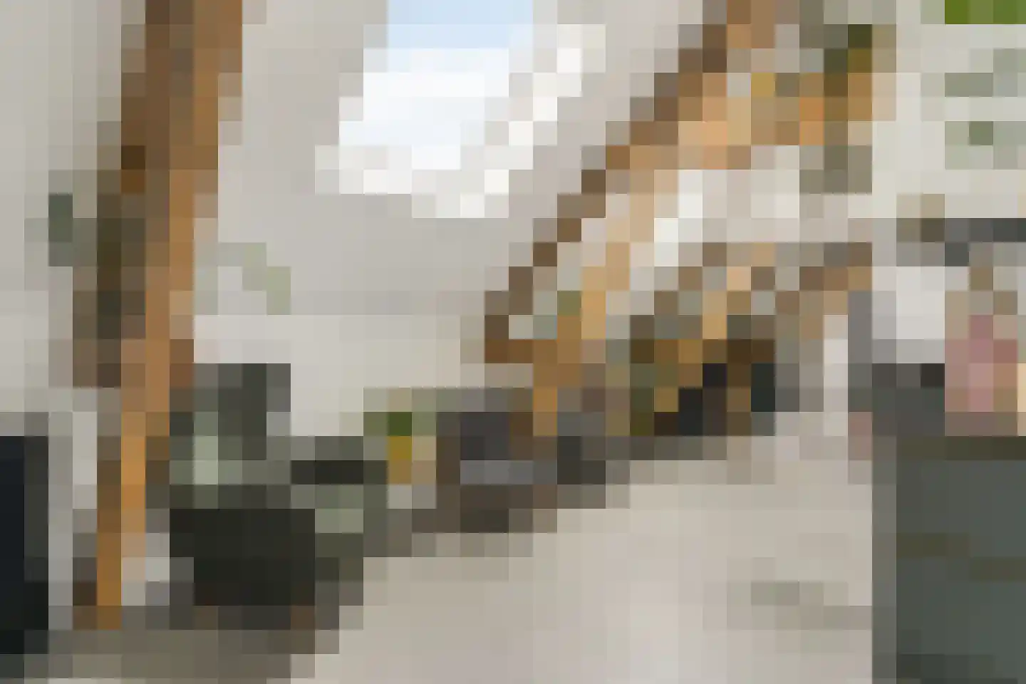 Oleanderstraat 135 Rotterdam thumbnail 25