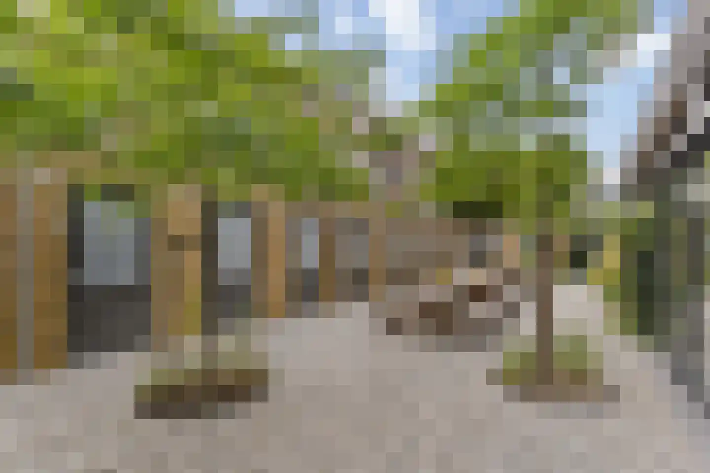 Oleanderstraat 135 Rotterdam thumbnail 37