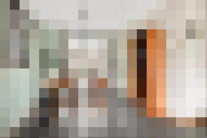 Oleanderstraat 16 Oud-Beijerland thumbnail 10