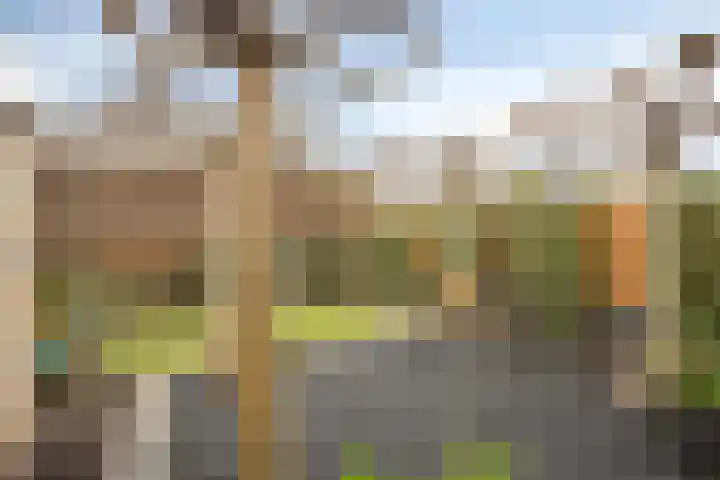 Oleanderstraat 16 Oud-Beijerland thumbnail 24