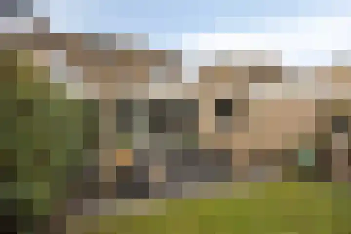 Oleanderstraat 16 Oud-Beijerland thumbnail 25