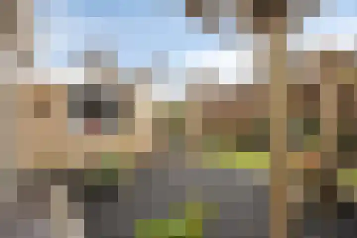 Oleanderstraat 16 Oud-Beijerland thumbnail 26