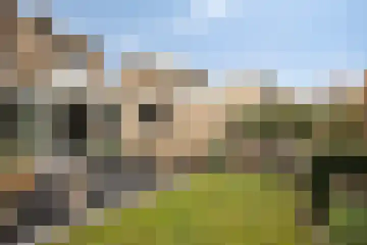 Oleanderstraat 16 Oud-Beijerland thumbnail 6