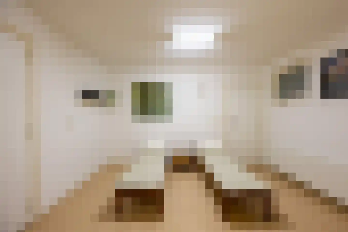 Oleanderstraat 20 Geleen thumbnail 12