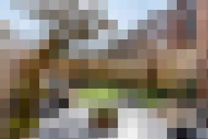 Oleanderstraat 20 Geleen thumbnail 23
