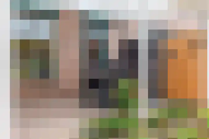 Oleanderstraat 33 Geleen thumbnail 19