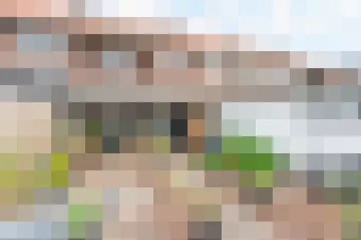 Oleanderstraat 33 Geleen thumbnail 20