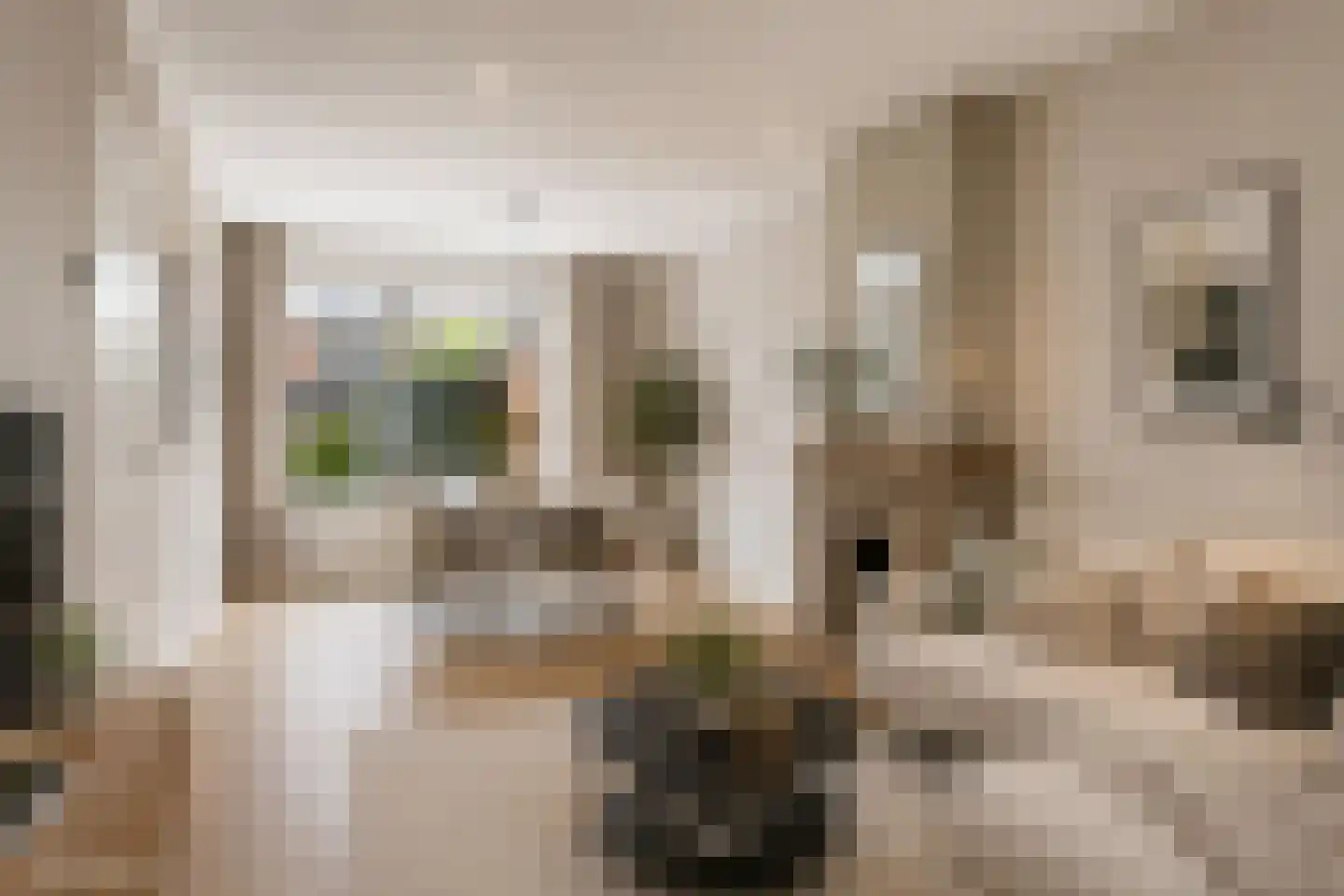 Oleanderstraat 37 Hoogeveen thumbnail 7
