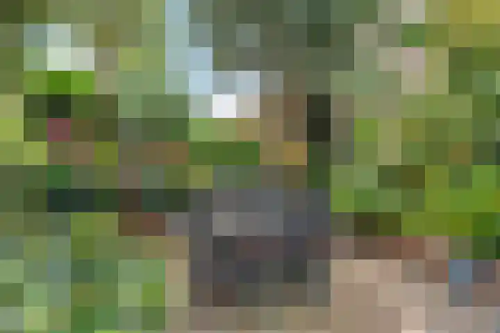 Oleanderstraat 4 Almere thumbnail 39