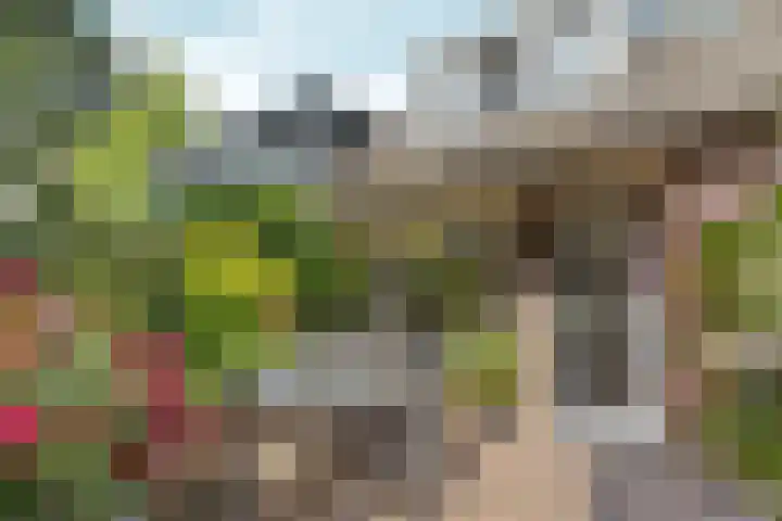Oleanderstraat 4 Almere thumbnail 45