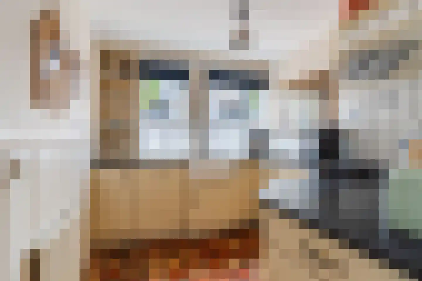 Oleanderstraat 4 Breda thumbnail 12