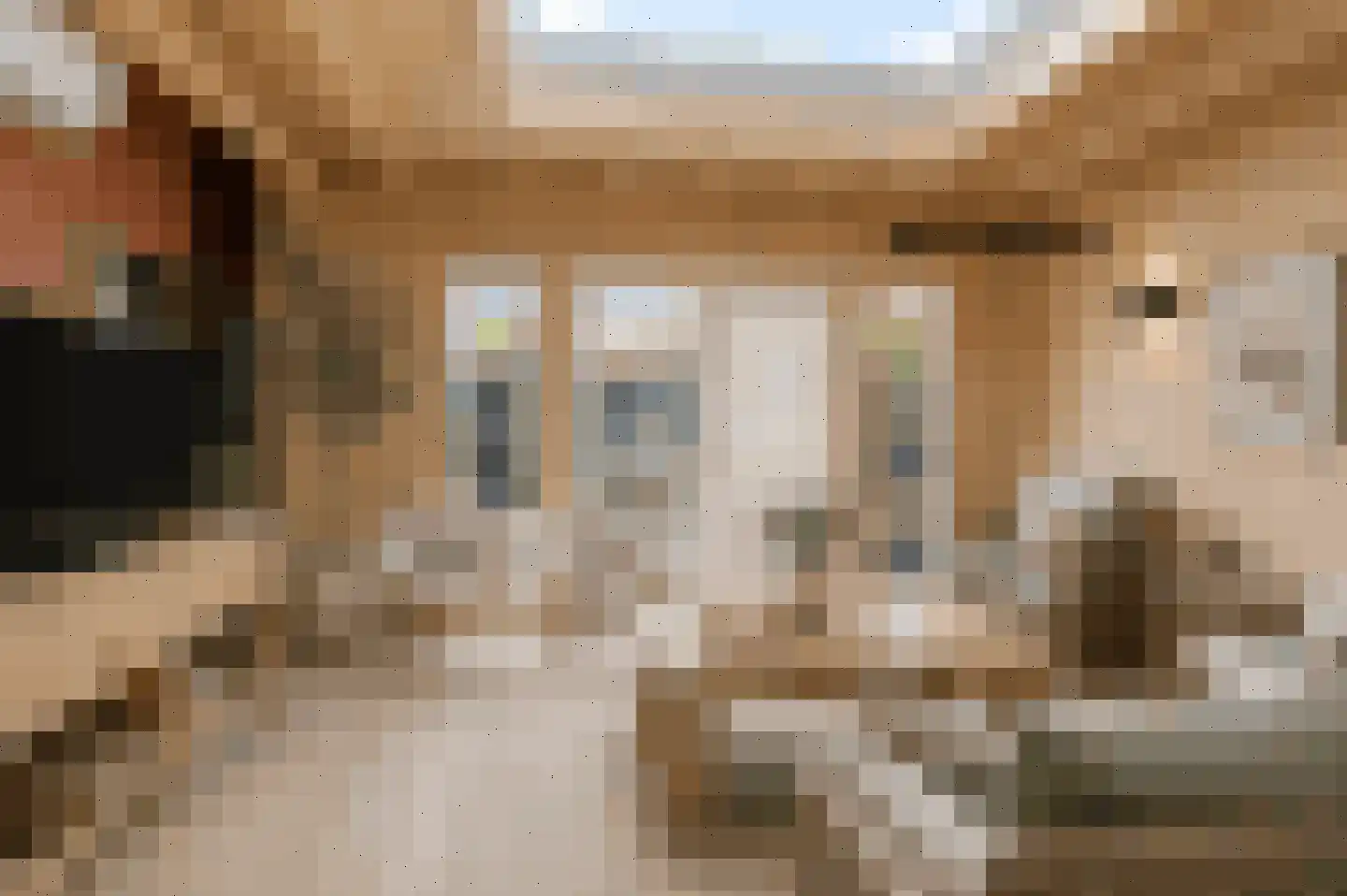 Oleanderstraat 4 Breda thumbnail 5