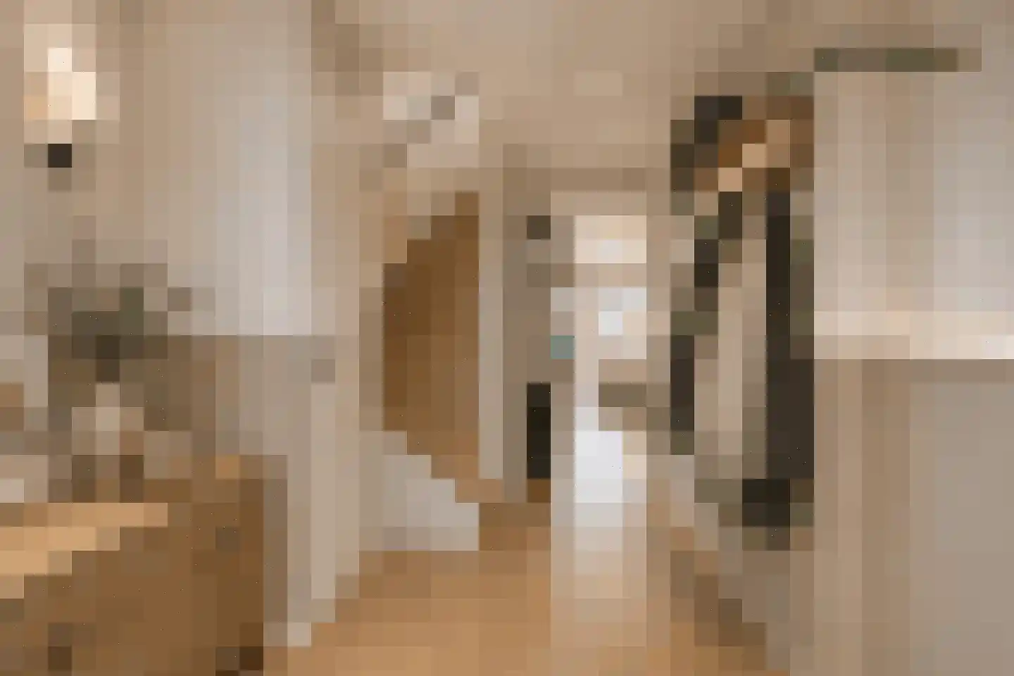 Oleanderstraat 4 Breda thumbnail 8
