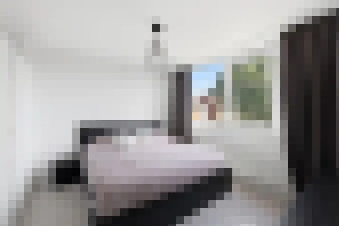 Oleanderstraat 50 Terneuzen thumbnail 14