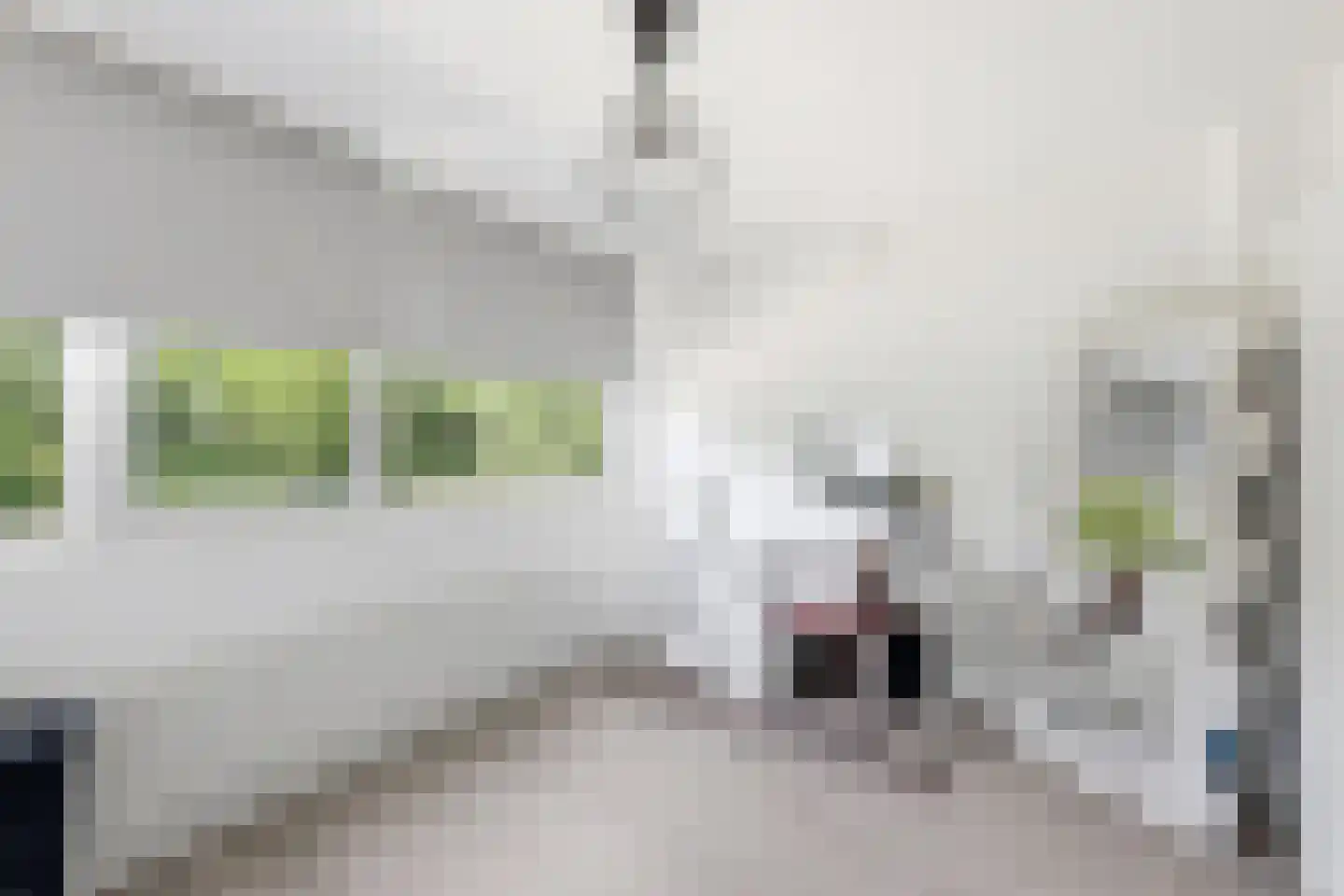 Oleanderstraat 50 Terneuzen thumbnail 16