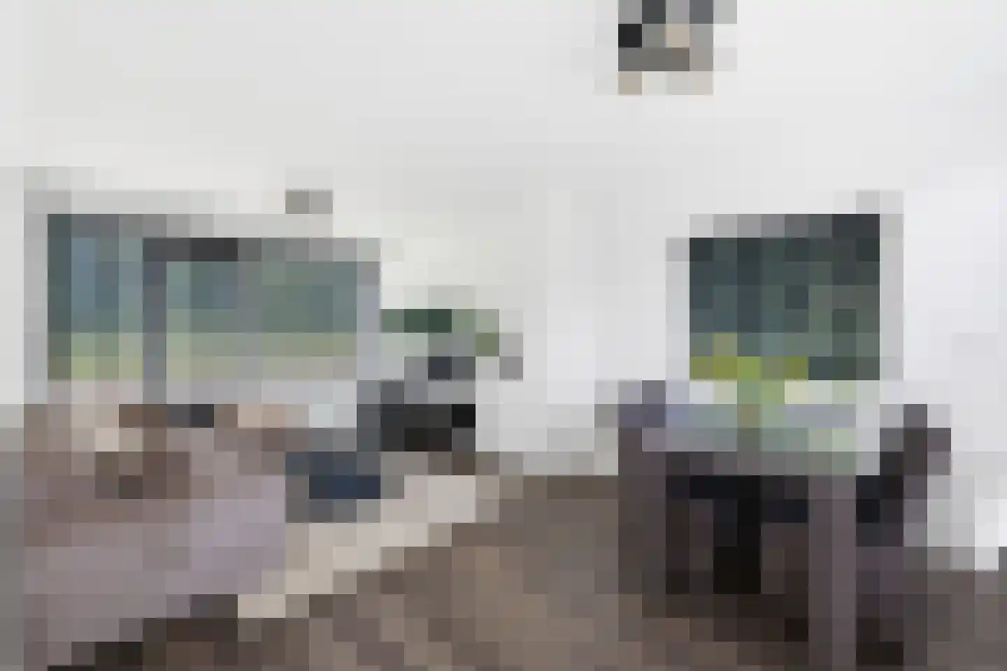 Oleanderstraat 50 Terneuzen thumbnail 7