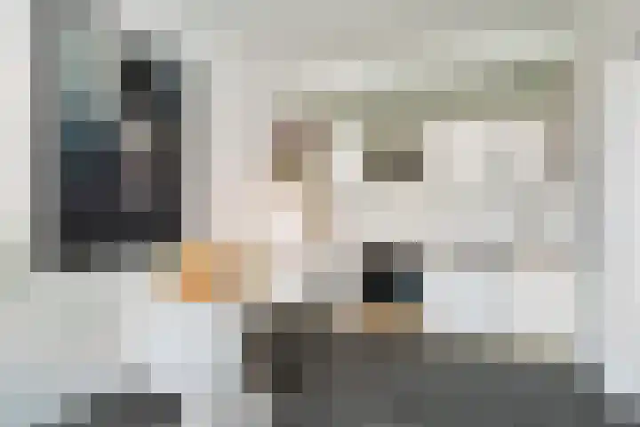Oleanderstraat 6 Utrecht thumbnail 10