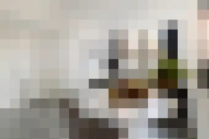 Oleanderstraat 6 Utrecht thumbnail 11
