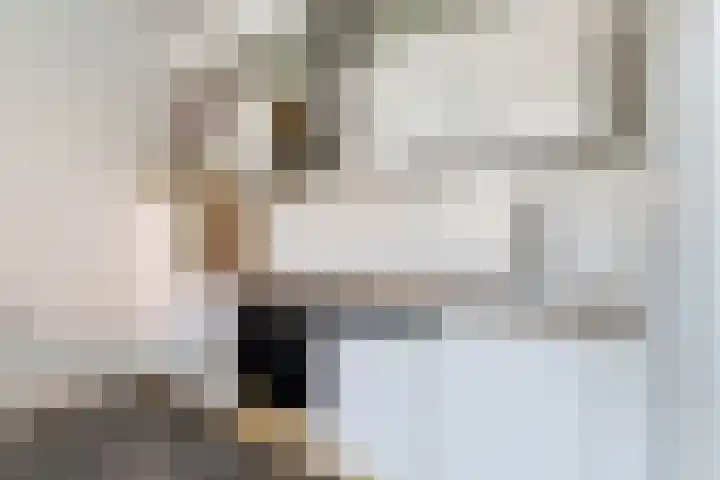 Oleanderstraat 6 Utrecht thumbnail 12