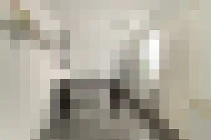 Oleanderstraat 6 Utrecht thumbnail 22