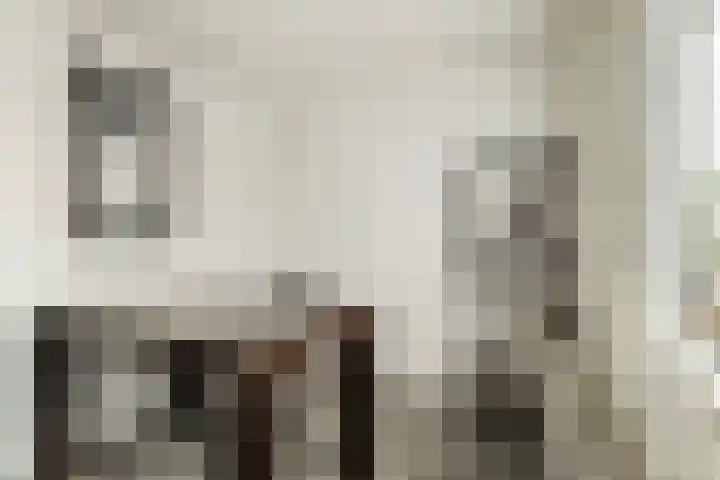 Oleanderstraat 6 Utrecht thumbnail 23