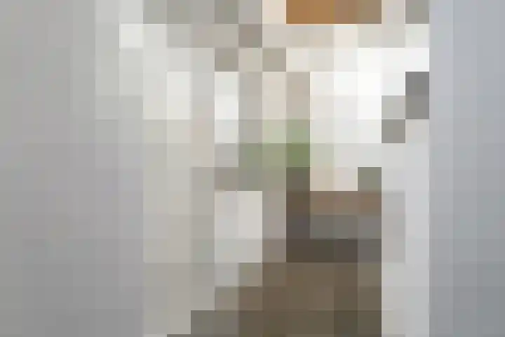 Oleanderstraat 6 Utrecht thumbnail 31