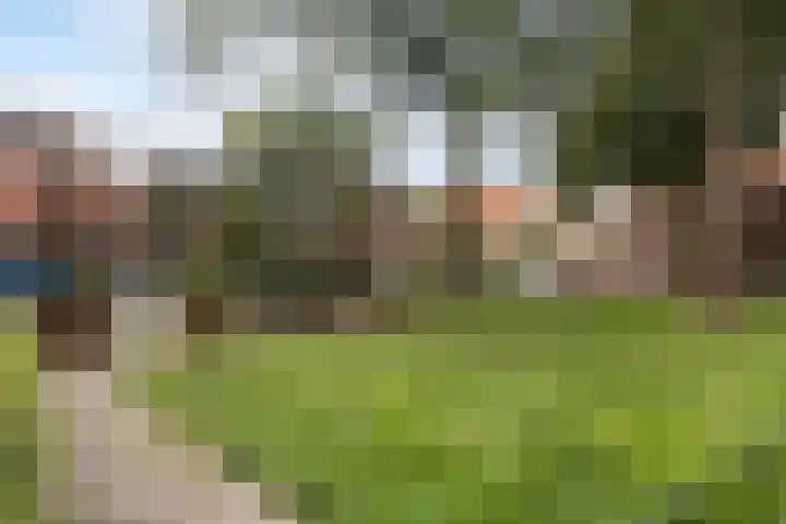 Oleanderstraat 6 Utrecht thumbnail 38