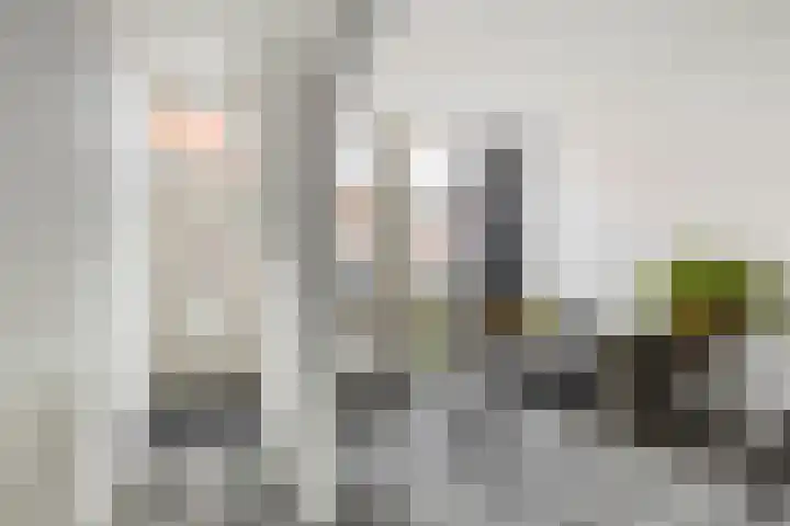 Oleanderstraat 6 Utrecht thumbnail 5