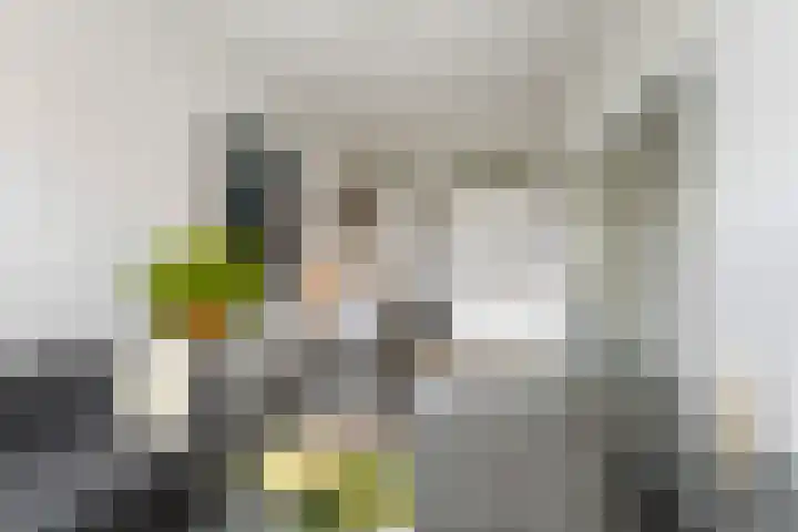 Oleanderstraat 6 Utrecht thumbnail 7