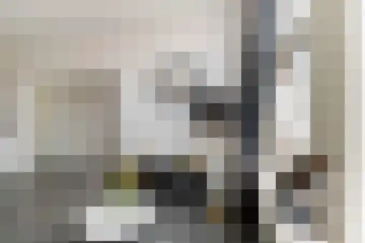 Oleanderstraat 6 Utrecht thumbnail 8
