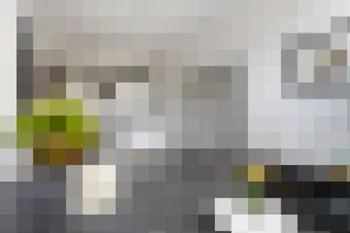 Oleanderstraat 6 Utrecht thumbnail 9