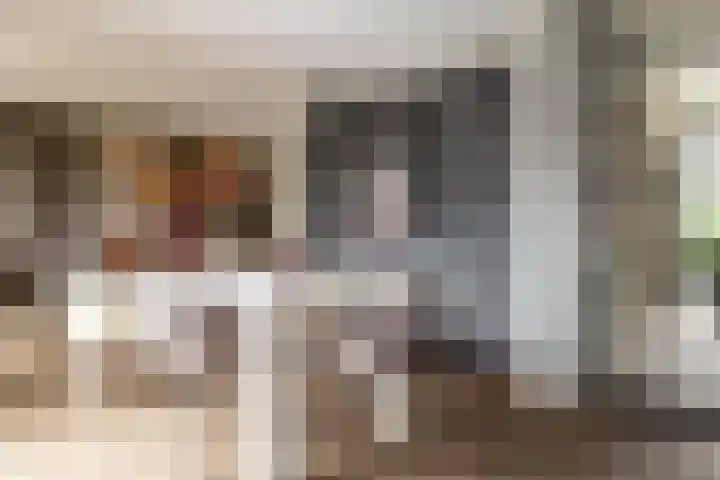 Olga von Gotschlaan 23 Santpoort-Zuid thumbnail 10