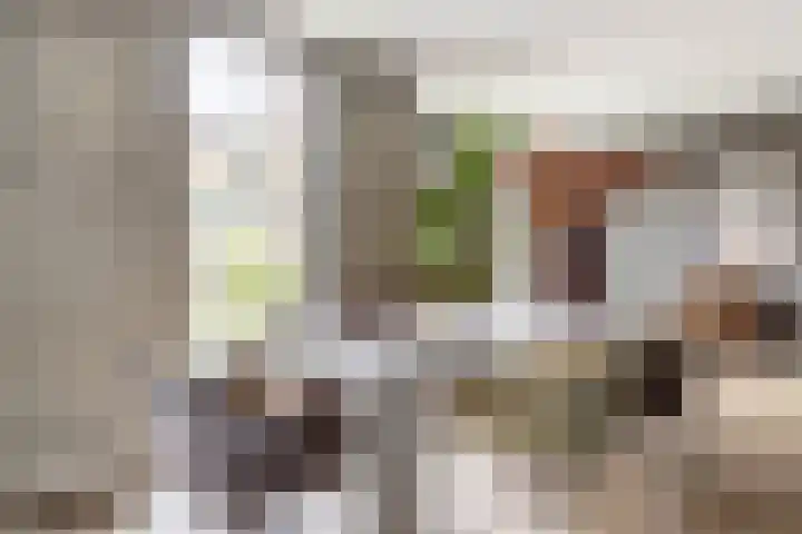 Olga von Gotschlaan 23 Santpoort-Zuid thumbnail 11