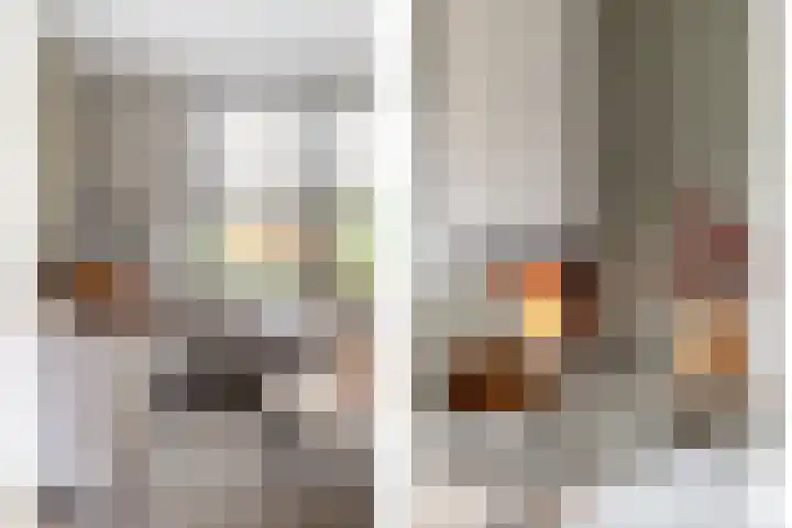 Olga von Gotschlaan 23 Santpoort-Zuid thumbnail 14