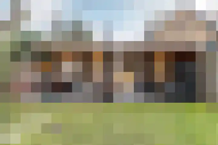 Olga von Gotschlaan 23 Santpoort-Zuid thumbnail 20